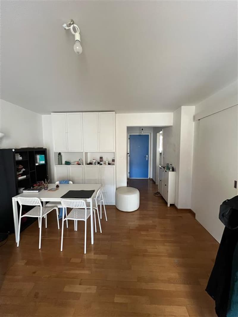 Helle 2-Zimmerwohnung an attraktiver Lage in Zürich-Friesenberg (3)