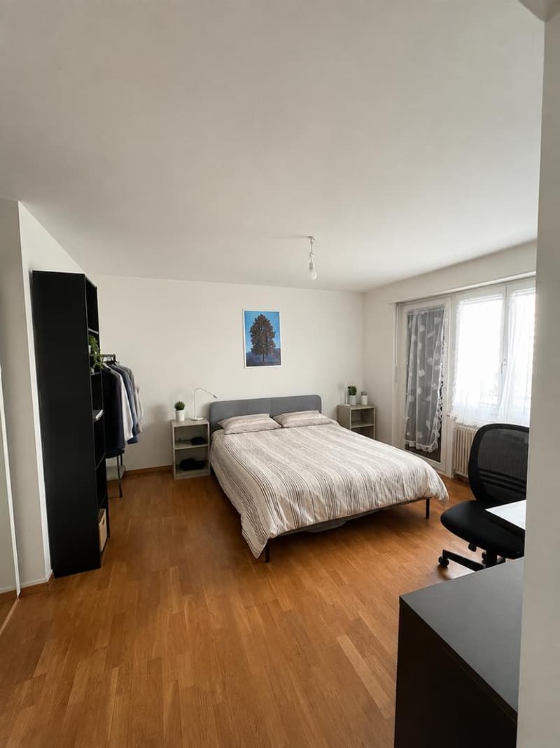 Helle 2-Zimmerwohnung an attraktiver Lage in Zürich-Friesenberg (6)