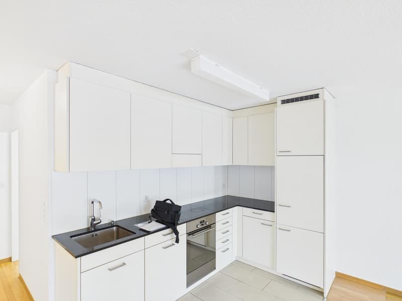 1.5 Zimmerwohnung im Herzen von Zürich (3)