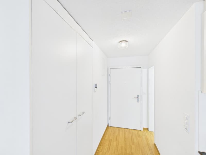1.5 Zimmerwohnung im Herzen von Zürich (4)