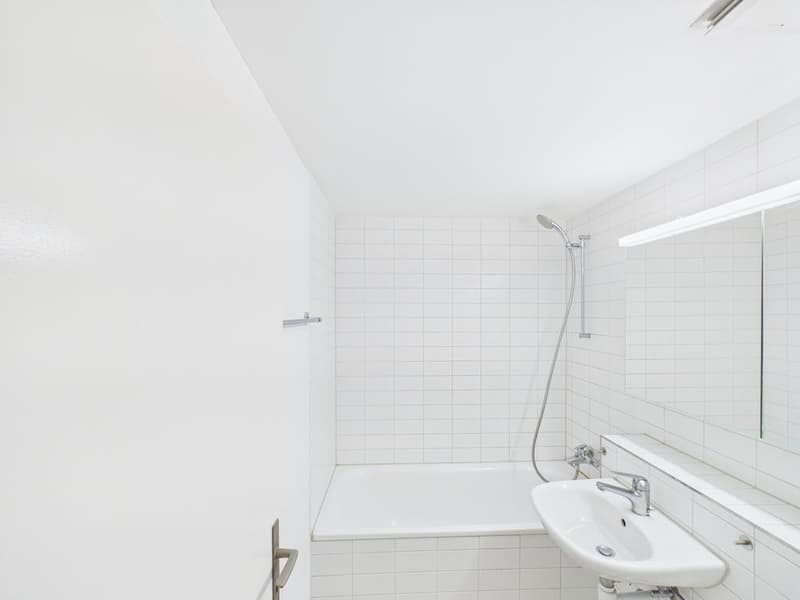 1.5 Zimmerwohnung im Herzen von Zürich (5)