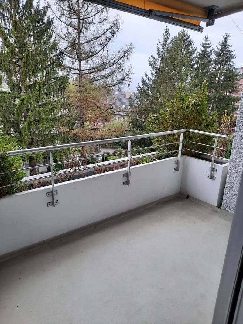Tolle Wohnung an ruhiger Lage im Quartier Höngg (5)