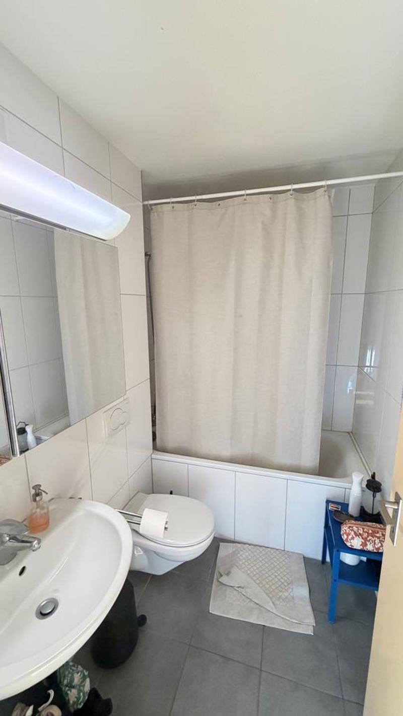 Charmante 3.5 Zimmerwohnung an der Neunbrunnenstrasse 213 in Zürich (7)