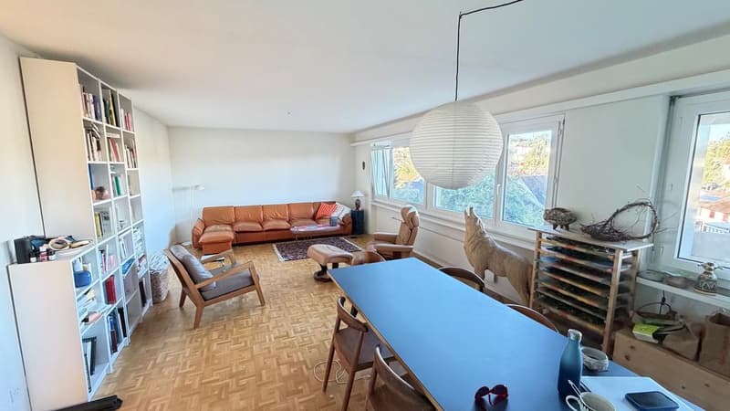 Charmante 3.5 Zimmerwohnung an der Neunbrunnenstrasse 213 in Zürich (2)