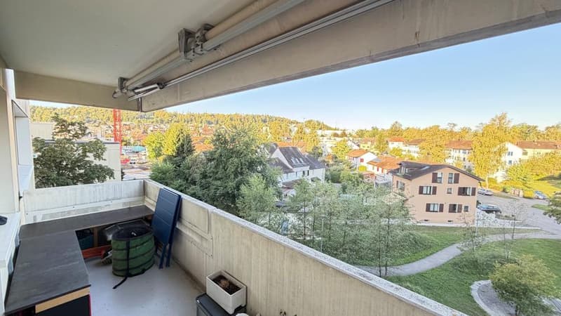 Charmante 3.5 Zimmerwohnung an der Neunbrunnenstrasse 213 in Zürich (5)