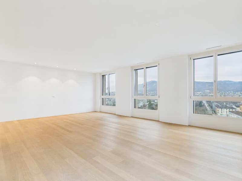 Modernes Maisonette-Loft an bester Lage in Zürich-Altstetten (6)