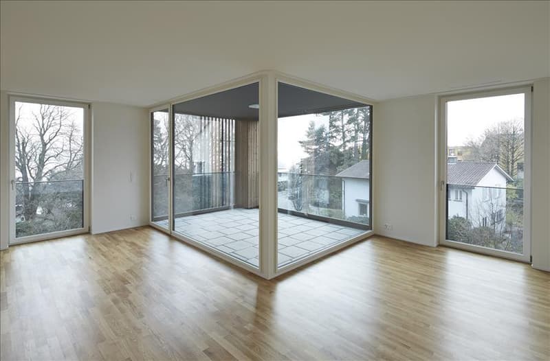 Wohnen mit viel Raum und urbanem Zürich-Flair (2)