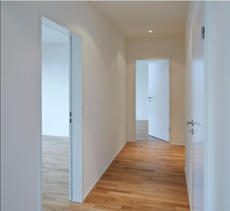 Wohnen mit viel Raum und urbanem Zürich-Flair (4)
