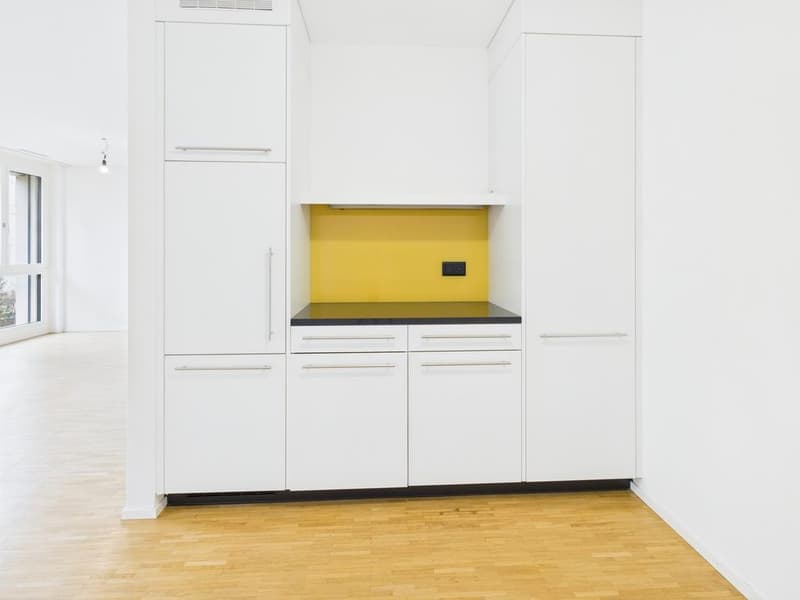 1-Zimmer-Studiowohnung an zentraler Lage in Zürich-Altstetten (4)