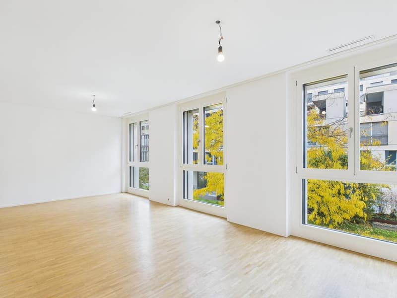 1-Zimmer-Studiowohnung an zentraler Lage in Zürich-Altstetten (6)
