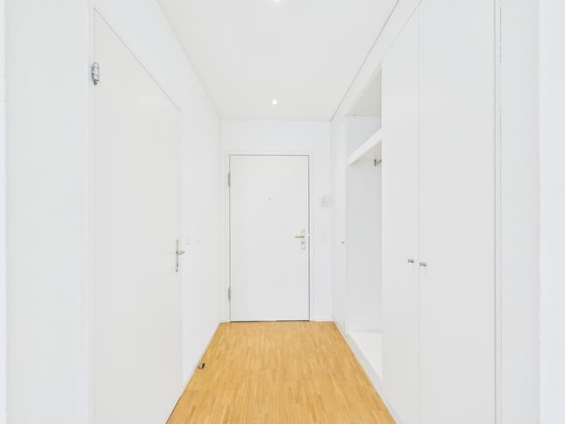 1-Zimmer-Studiowohnung an zentraler Lage in Zürich-Altstetten (2)