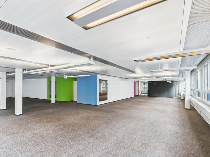 Generosità completamente sviluppata - spazio ufficio a Zürich-Altstetten (11)