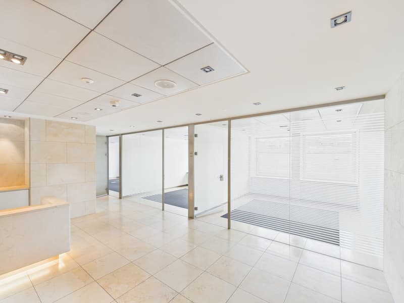 Vollausbau im Top-Floor / Weitblick und viel Tageslicht (4)