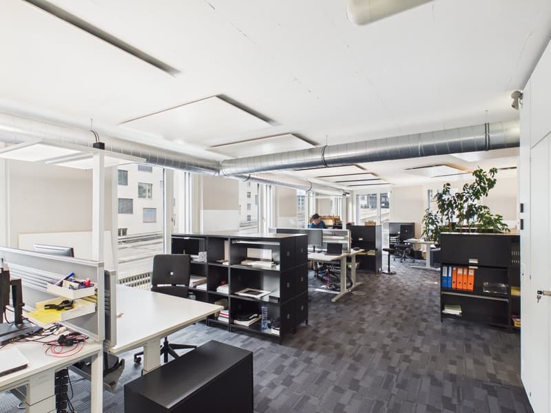 Modern office space with several workstations, shelves, large windows, a central corridor, and plants.