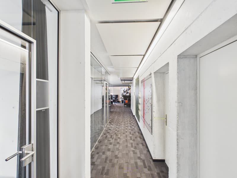 an empty corridor with carpeted flooring, glass walls, closed doors, white walls, ceiling, and a green exit sign