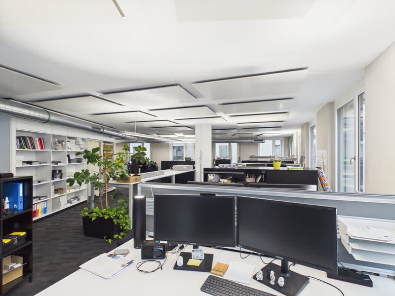 Large office space with desks, monitors, and a potted plant. White shelves and a large window. No visible visible features.