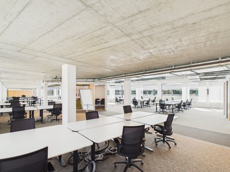 Ankommen und loslegen — 1.190 m² vollausgebautes Topbüro ab sofort verfügbar (7)