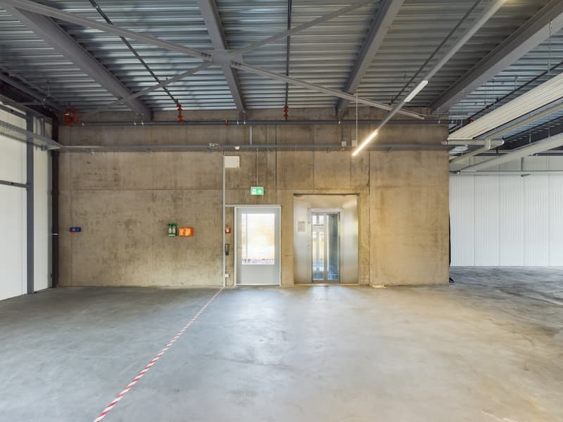 Moderne vielseitige Gewerbeflächen in Oberglatt (12)