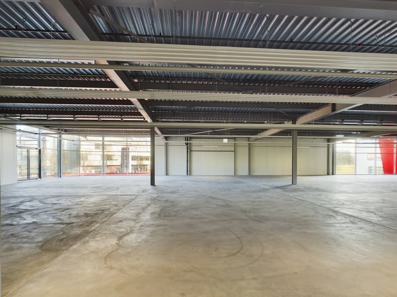 Moderne vielseitige Gewerbeflächen in Oberglatt (9)