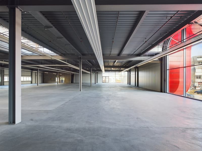 Moderne vielseitige Gewerbeflächen in Oberglatt (6)