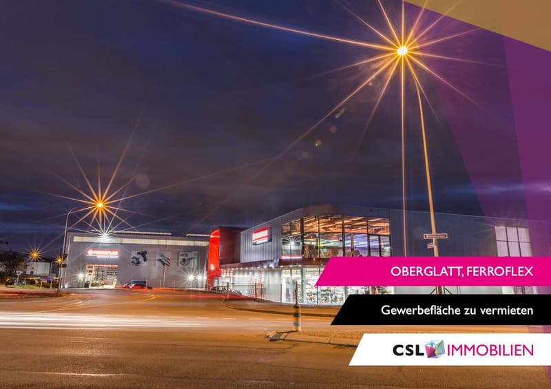 Moderne vielseitige Gewerbeflächen in Oberglatt (1)