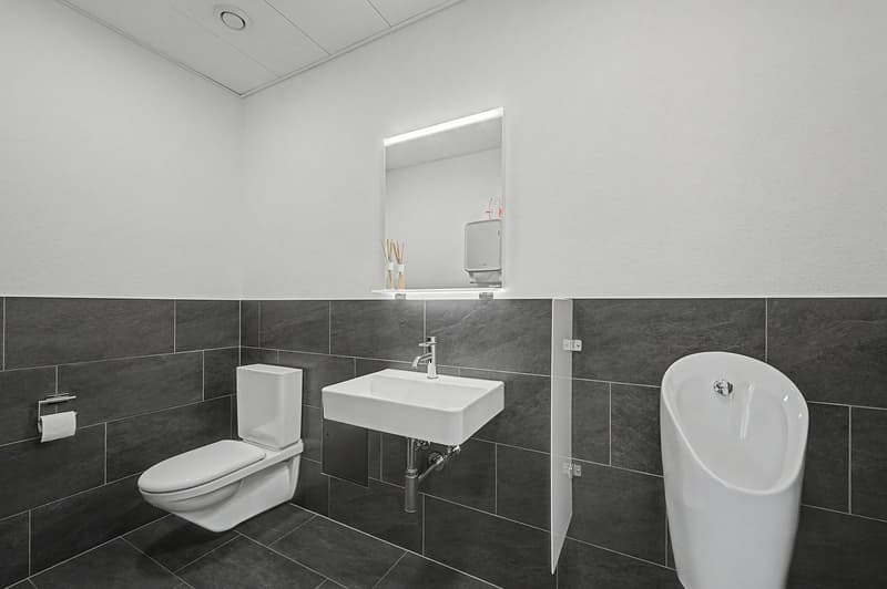 Gewerbeimmobilie in Pfäffikon ZH - Ideal für Selbstnutzer oder Investoren (11)