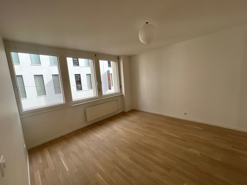 Appartement de 1.5 pièces au centre de Lausanne (2)