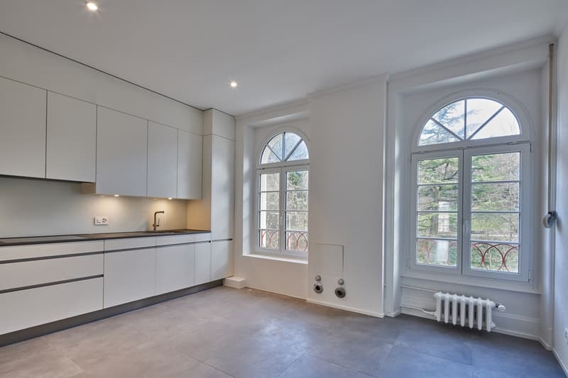 Magnifique appartement rénové proche du parc de Mon Repos (16)