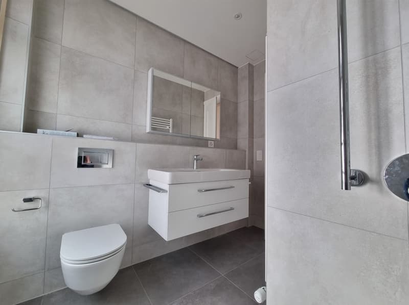 Magnifique appartement rénové proche du parc de Mon Repos (13)