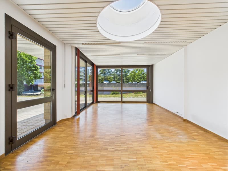 Wide room, large glass doors, hardwood floor, skylight