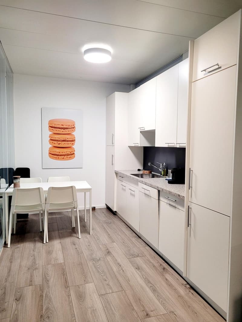 Bureaux modernes à louer à Eysins (6)