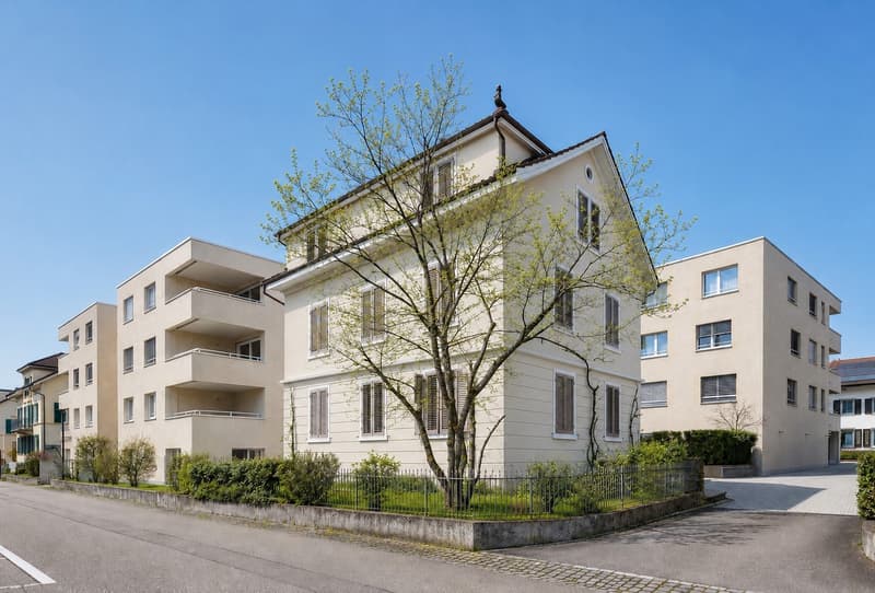 Mehrfamilienhaus zur Privatnutzung oder zur Vermietung (1)
