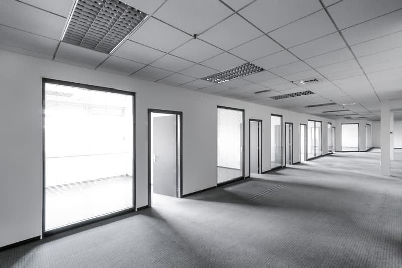 An empty office corridor with multiple rooms, large windows, and a carpeted floor.