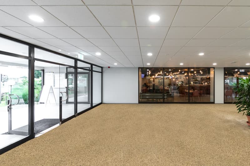 Modern building interior with large glass doors, beige flooring, and high ceilings. There is a potted plant on the right side.