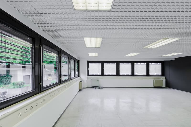 Empty room with white floor, black walls, large windows, and ceiling lights