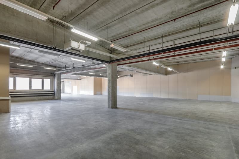 Empty large underground parking garage with high ceiling and metal beams, concrete floors and multiple rows of pillars