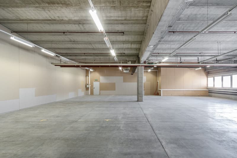 Empty large garage with white concrete floor, white walls, and high ceiling with lights. A door is visible on the left side. There are some pipes visible on the ceiling.