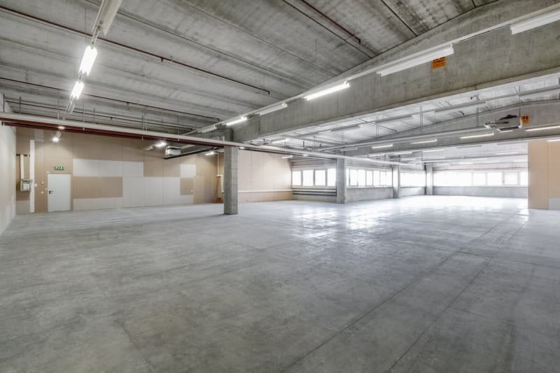 underground parking space with fluorescent lights, windows at the sides, doors on the left