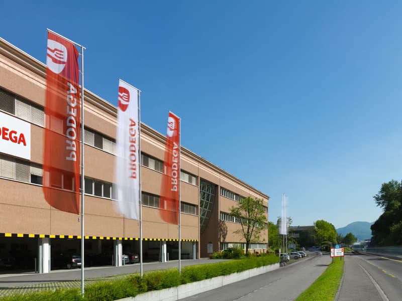 LUGANO NORD - AFFITTASI LUMINOSO UFFICIO DI 333 MQ (rif. 213) (13)