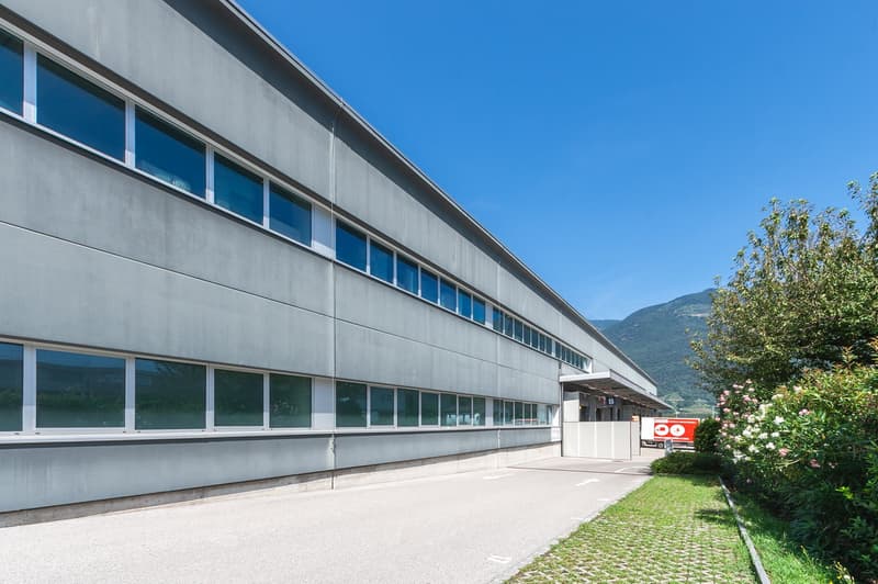 Office building with many windows, concrete construction, entry gate with white wall, concrete driveway