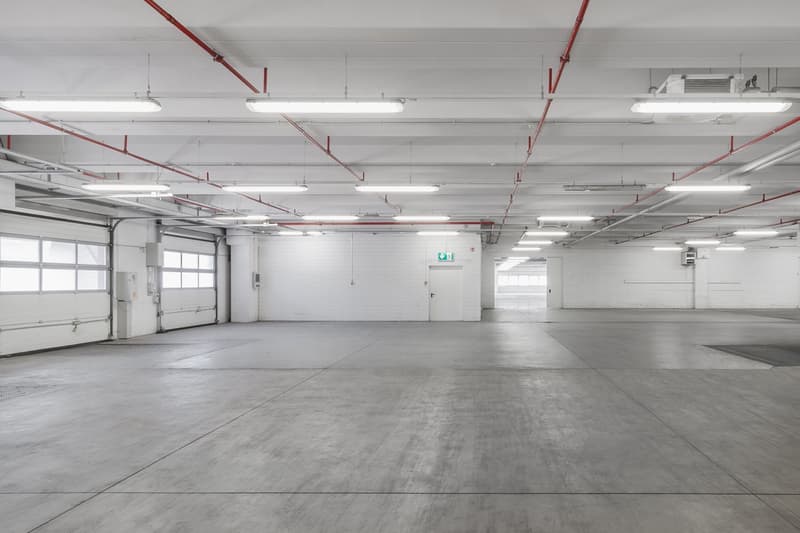 An empty underground parking space, concrete floor, white walls, double garage doors, white pillars, industrial lighting, utility boxes