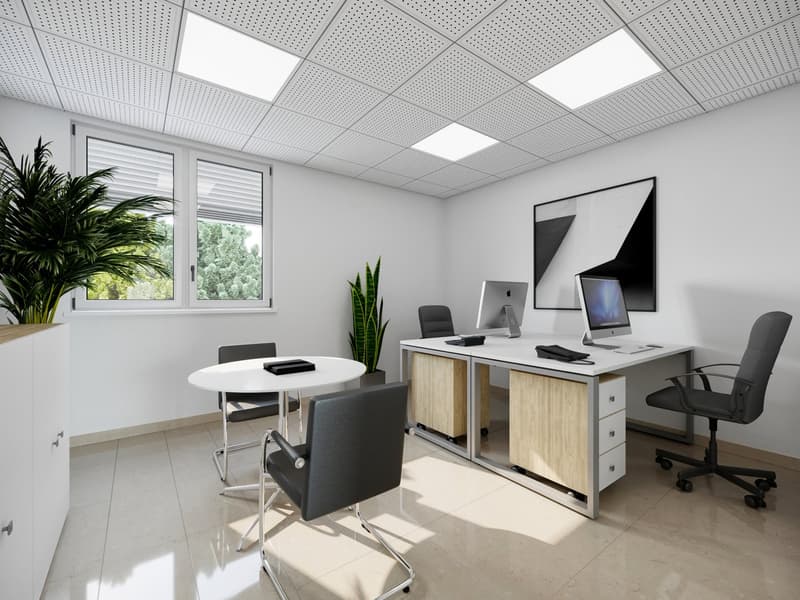 Modern office space with white walls, suspended ceiling tiles, large windows, desk with computer setup, office chairs, and a potted plant.