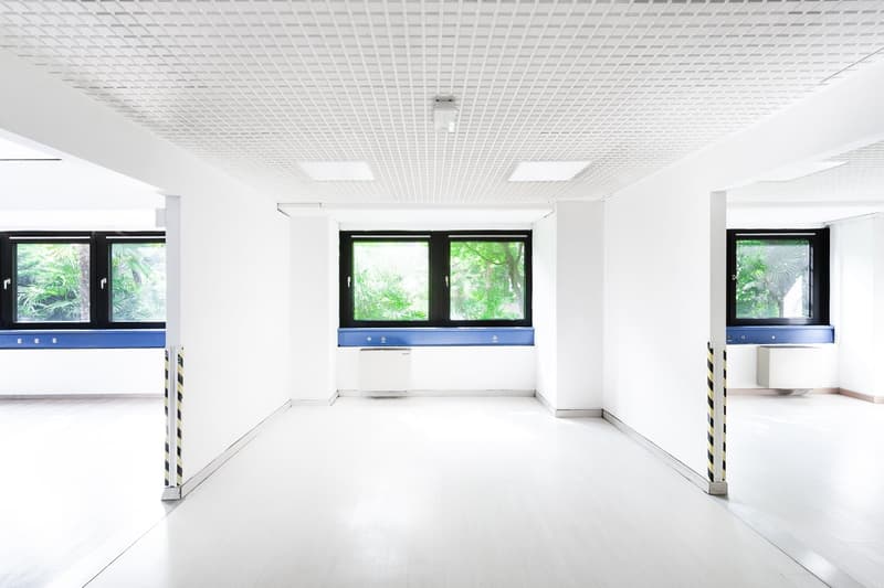 Large open office space with white walls, grid ceiling, and large windows overlooking greenery outside. The space has blue and yellow safety markings on the floor, indicating designated parking or storage areas.