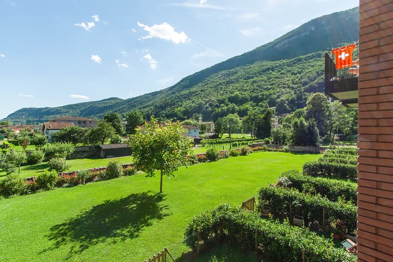 The image shows a scenic view of a mountainous, forested area with a lush green landscape. There is a well-manicured lawn in the foreground, surrounded by various trees and shrubs. In the background, the mountains are covered in dense vegetation, creating