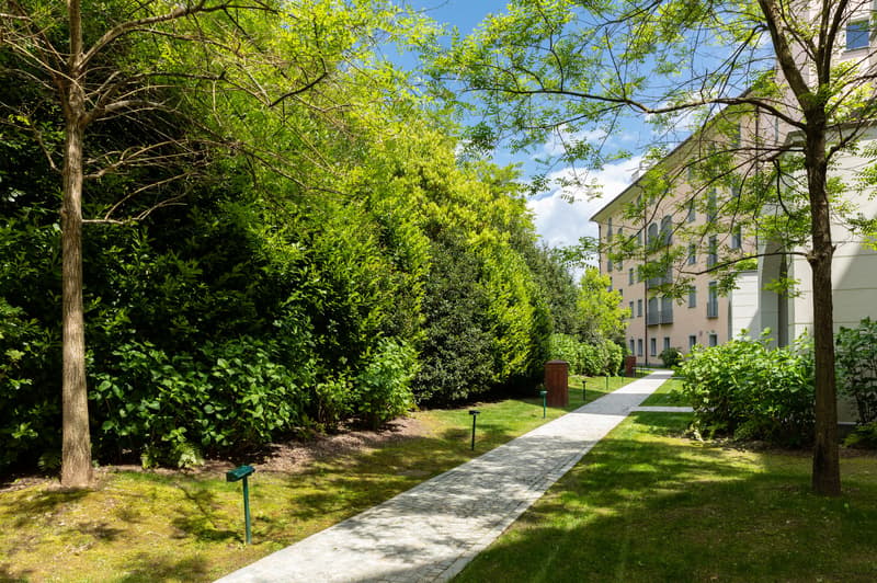 A walkaway in the middle of the grass with plants and trees. There is a small building in the background