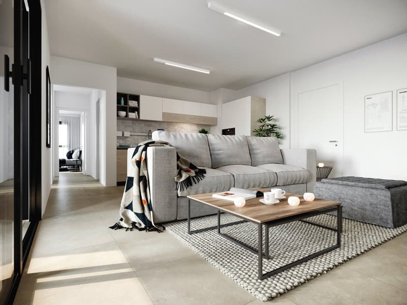 Spacious living room with gray sofa, wooden coffee table, and area rug. Shelving unit and kitchen visible in the background. Large windows and bright, open layout.