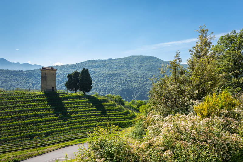 LUGANO-COLLINA D'ORO - AFFITTASI APPARTAMENTO 3.5 LOCALI CON VISTA SUL PARCO(Rif. 204) (26)