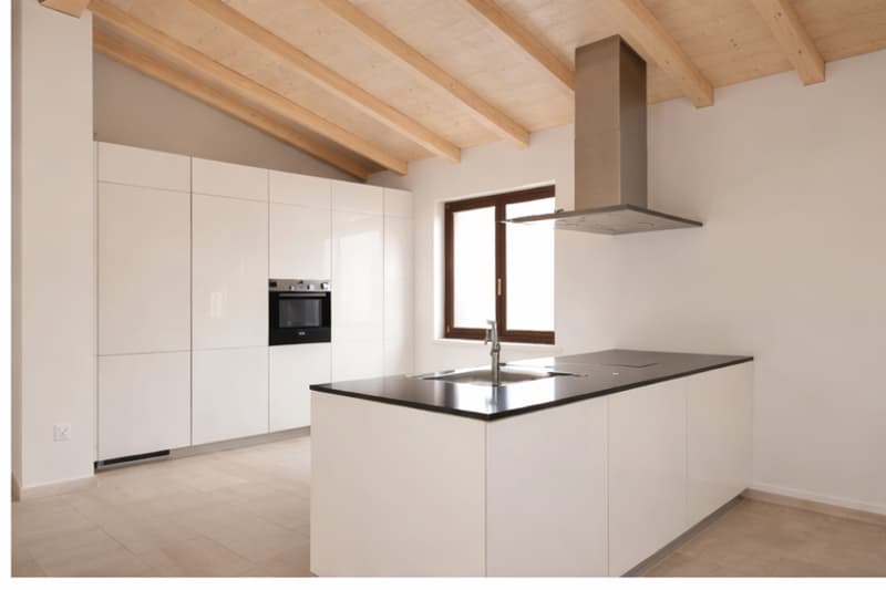 COLDRERIO - AFFITTASI SPLENDIDO APPARTAMENTO CON GIARDINO IMMERSO NEL VERDE (rif. 003) (3)