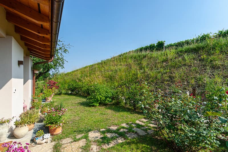 COLDRERIO - AFFITTASI SPLENDIDO APPARTAMENTO CON GIARDINO IMMERSO NEL VERDE (rif. 003) (7)
