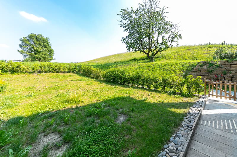 AFFITTASI INCANTEVOLE DUPLEX DI 3.5 LOCALI CON GIARDINO PRIVATO (9)